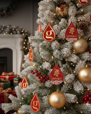 ✨🌲 Când parfumul devine parte din decor! Oferă casei tale o notă de rafinament cu Giovani® și bucură-te de un Crăciun care...